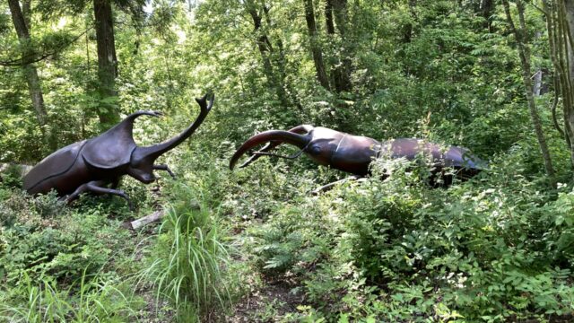 かつやまディノパークの巨大昆虫冒険ツアーにいたカブトムシ