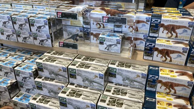 福井県立恐竜博物館限定アニア