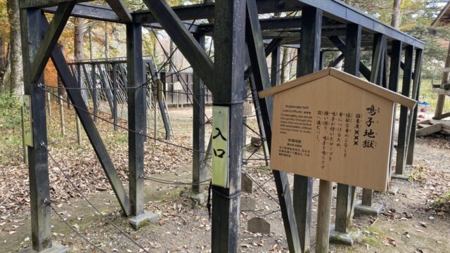 忍野しのびの里の忍者アスレチック