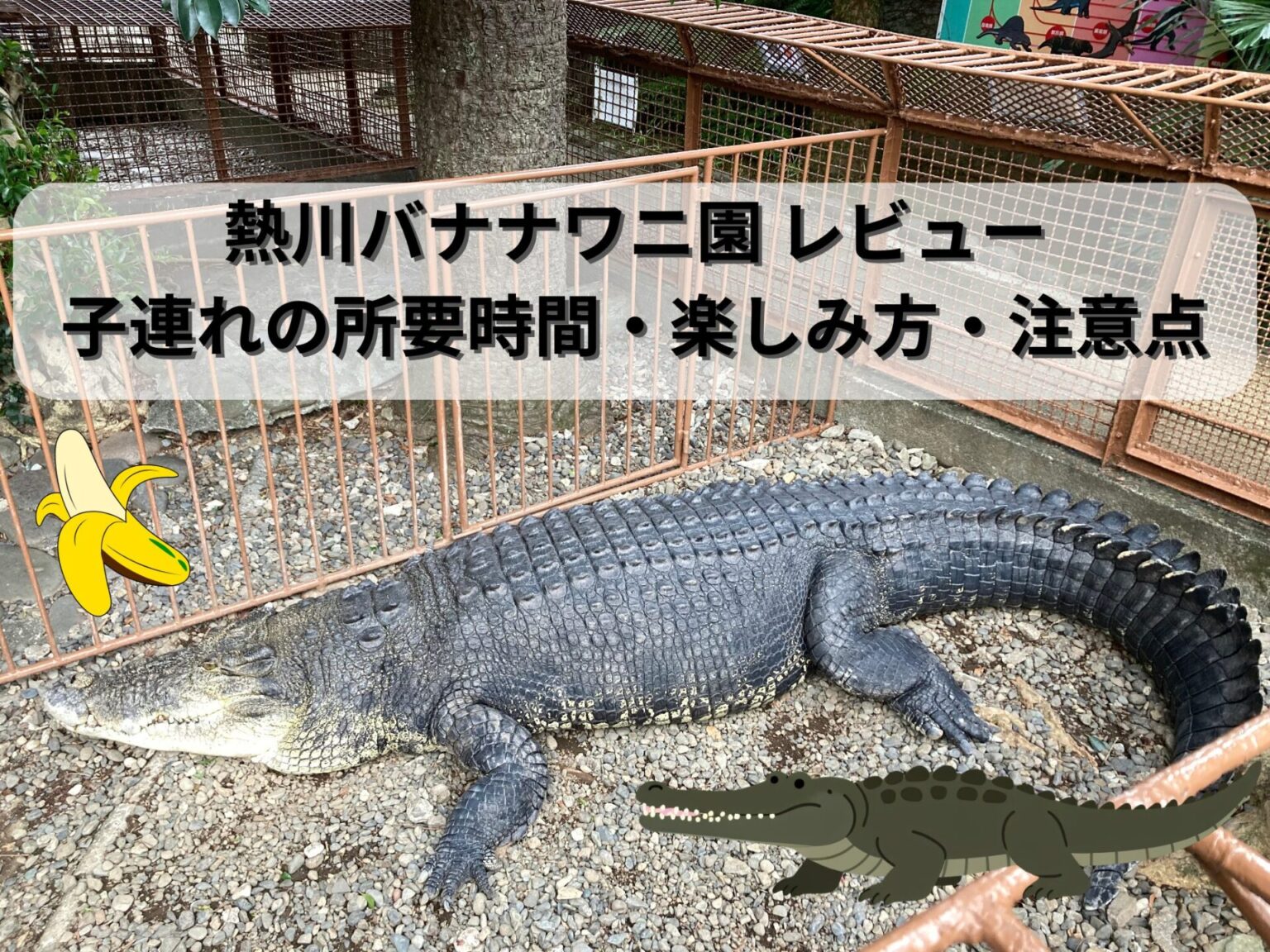 熱川バナナワニ園のアイキャッチ
