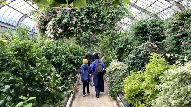 熱川バナナワニ園の植物園